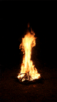 fire bonfire GIF