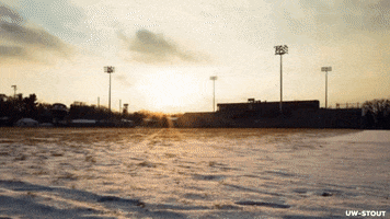 Football Field GIF by University of Wisconsin-Stout