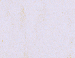 Love GIF