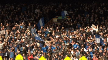 Everton Fc Fans GIF by Everton Football Club