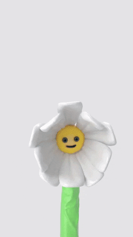 Illustrated gif. 3D white daisy blooms up, smiling, with green human arms. As hands pluck individual petals, the flower's smile fades into sadness.