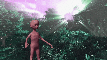 dmt