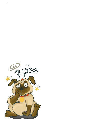 Animals Sticker