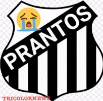 Neymar Jr Santos GIF