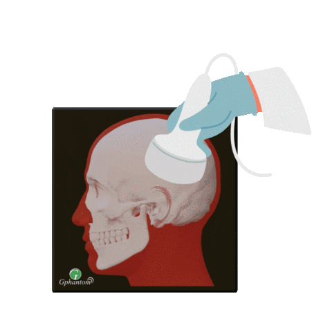 Face Perfil Sticker by Gphantom