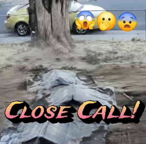 Close Call GIF