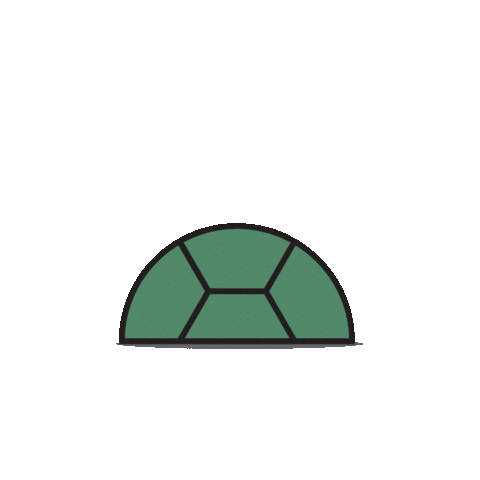 Slow Turtle Shop Sticker