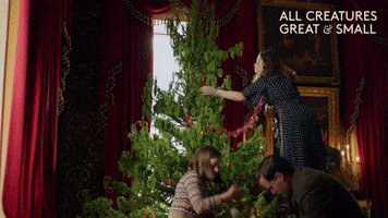 Decorating Merry Christmas GIF by All Creatures Great And Small