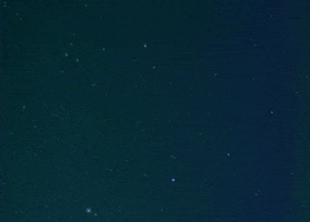 Yaaas GIF