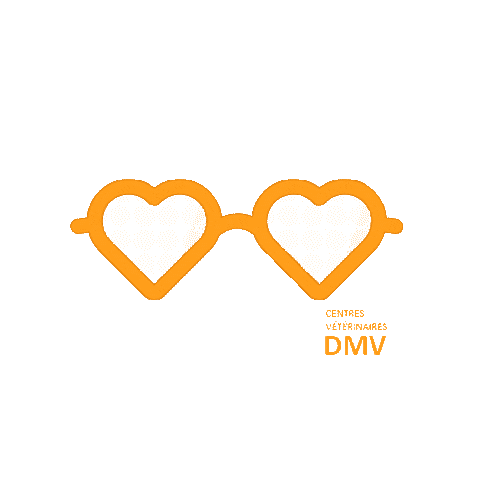Centres Vétérinaires DMV Sticker