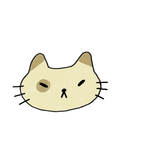 Cat Sticker