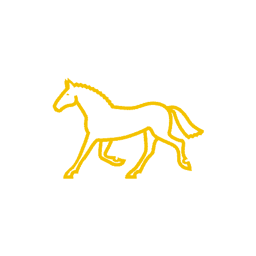 Dourado Rações Sticker