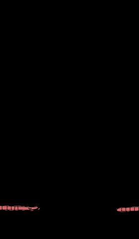 wurmkiste.at GIF