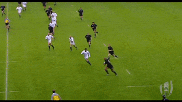 New Zealand All Blacks Sport GIF by Rugby World Cup
