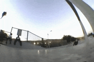 Rest In Peace Skate GIF by deladeso