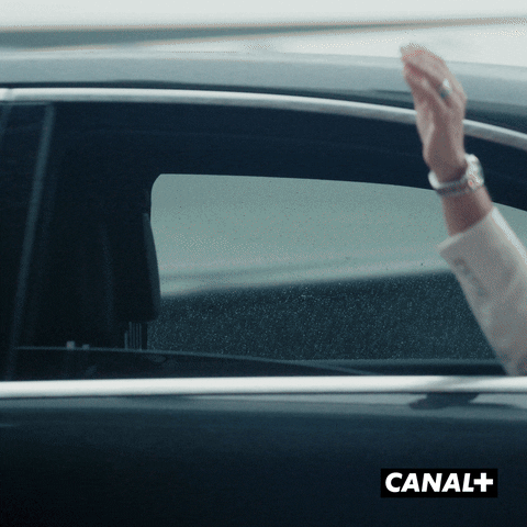 Au Revoir Middle Finger GIF by CANAL+