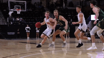 Basketball Crossover GIF by Wofford Athletics