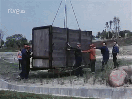 ZoosDelMundo  GIF