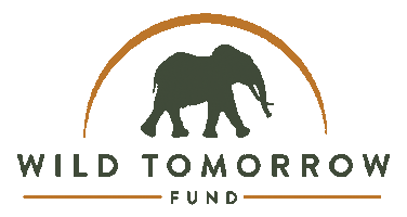 Wild Tomorrow Fund Sticker