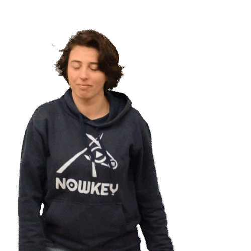 Dab Nowkeyofficiel Sticker by Nowkey