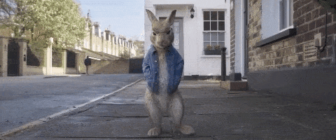 200.gif?cid=fc005b0820af67981c8bc0709f7d1a7a4ad1773108b982b4&rid=200.gif&ct=g