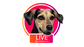 Dog Aovivo Sticker by Nutella Furacão
