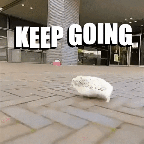 Gif of a hedgehog running full pelt along a street with the caption: keep going.