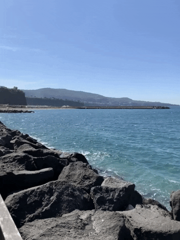 About Sorrento GIF