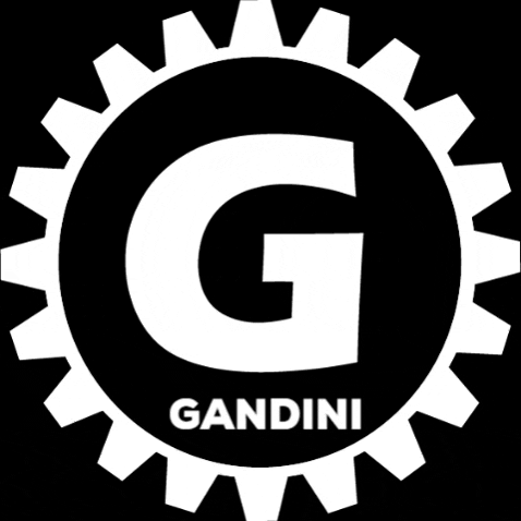Gandini Race GIF