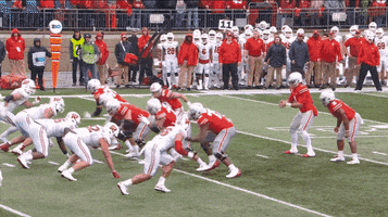 Football Touchdown GIF by Ohio State Athletics