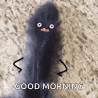 Good-morning-funny GIFs - Get the best GIF on GIPHY