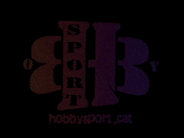Sport Snowboarding GIF by Hobbysport Vilanova
