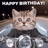 Happy Birthday Banana Gif By Moodman Find Share On Giphy