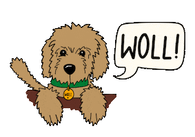 Goldendoodle Sauerland Sticker by WOLL Magazin