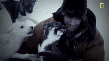 Episode 1 Love GIF by National Geographic Channel