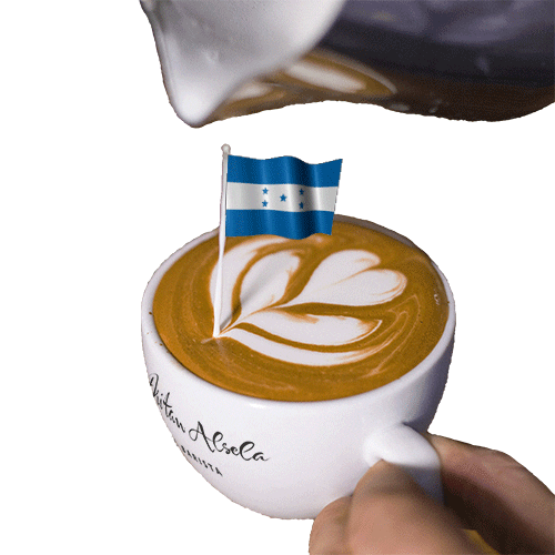 Coffee Time Honduras GIF by Dritan Alsela Coffee