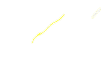 Unidos United Sticker by OMP