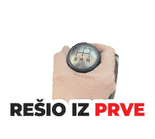 Passed Driving Test Sticker by Auto Rad