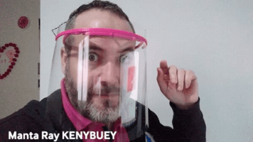 Manta Ray Kenybuey GIF