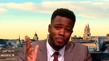 Prime Minister GIF