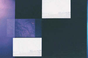 GIF by Blanca Viñas