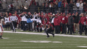 Wsu Cougars Oops GIF by Pac-12 Network