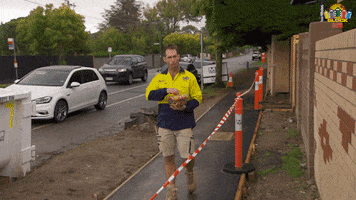 Channel 9 Eating GIF by The Block