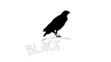 Blackbird Radioonline Sticker by Vorterix Bahia