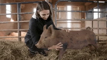 Baby Animal Hug GIF by Mercy For Animals