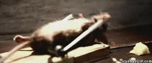 [Image: giphy.gif?cid=790b7611d3775cfd940f6027b2...=giphy.gif]