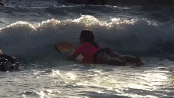 les Sommets GIF
