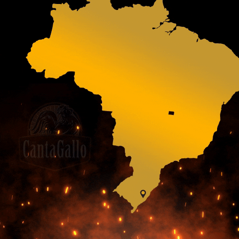 CantaGallo GIF