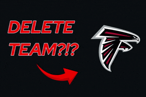 Falcons GIF