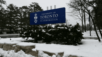 University Of Toronto Snow GIF by University of Toronto Scarborough (UTSC)